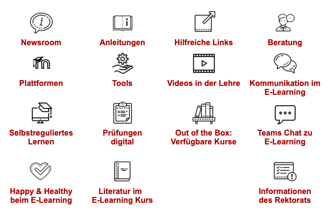 Icons e-learning Kurs Beispiel