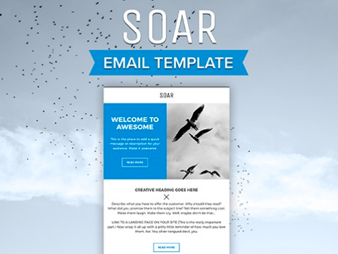 soar hubspot newsletter Baukasten